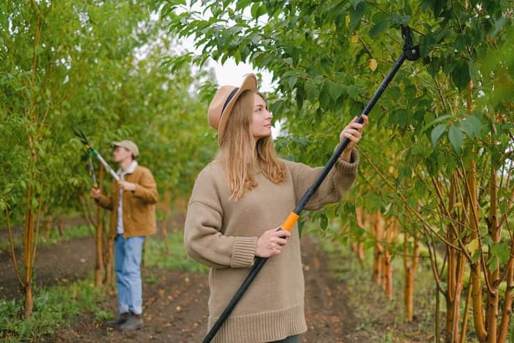 Bonus donne e giovani in agricoltura